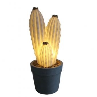 Potted Cactus Lighting