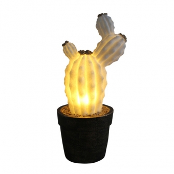 Cactus Craft Light