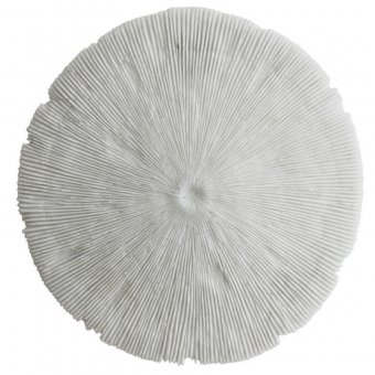 Sandstone Coral wall decorations