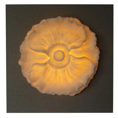 Poppy Design in MDF Wall Art Led Lights