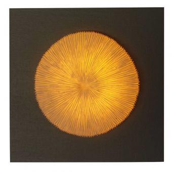 Ribbed Coral Design in MDF Wood Wall Art Led Lights